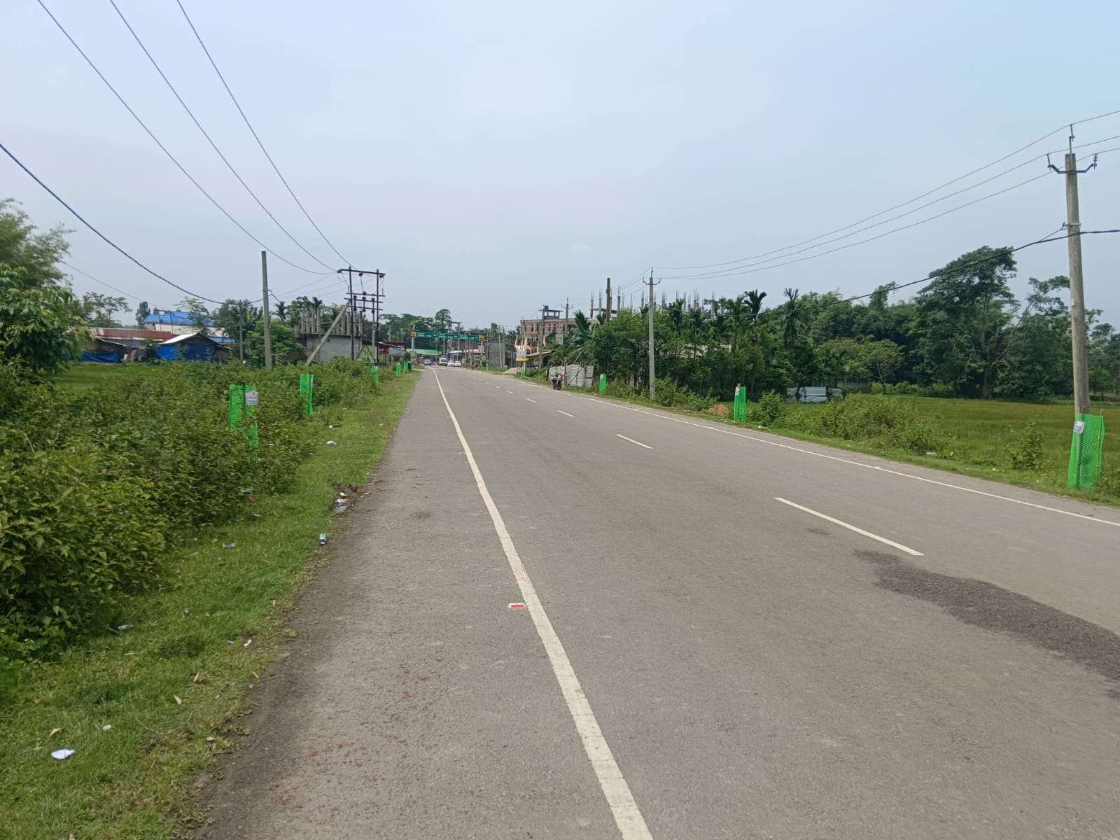 Week-Long Tree Plantation Drive